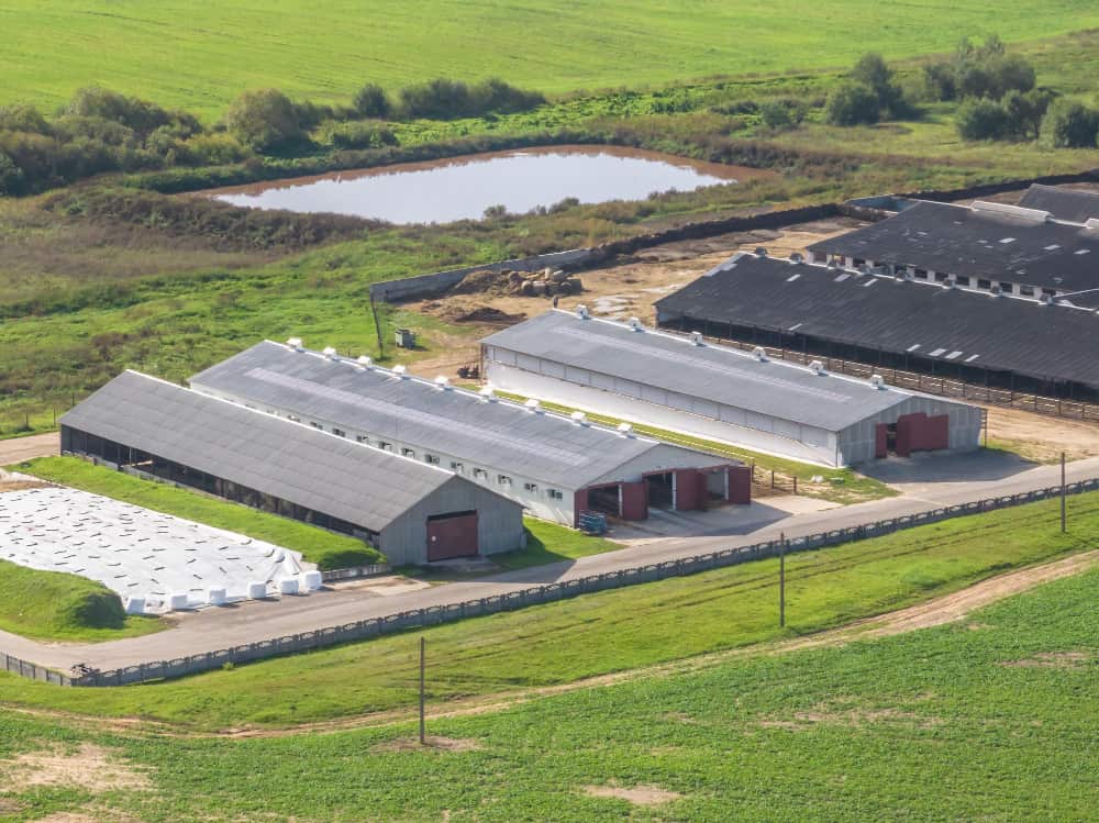 Aerial view of a rural farm site featuring several long Agricultural Steel Buildings used for livestock and storage